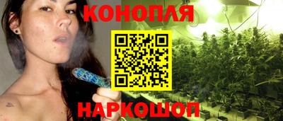 сатива Новокубанск