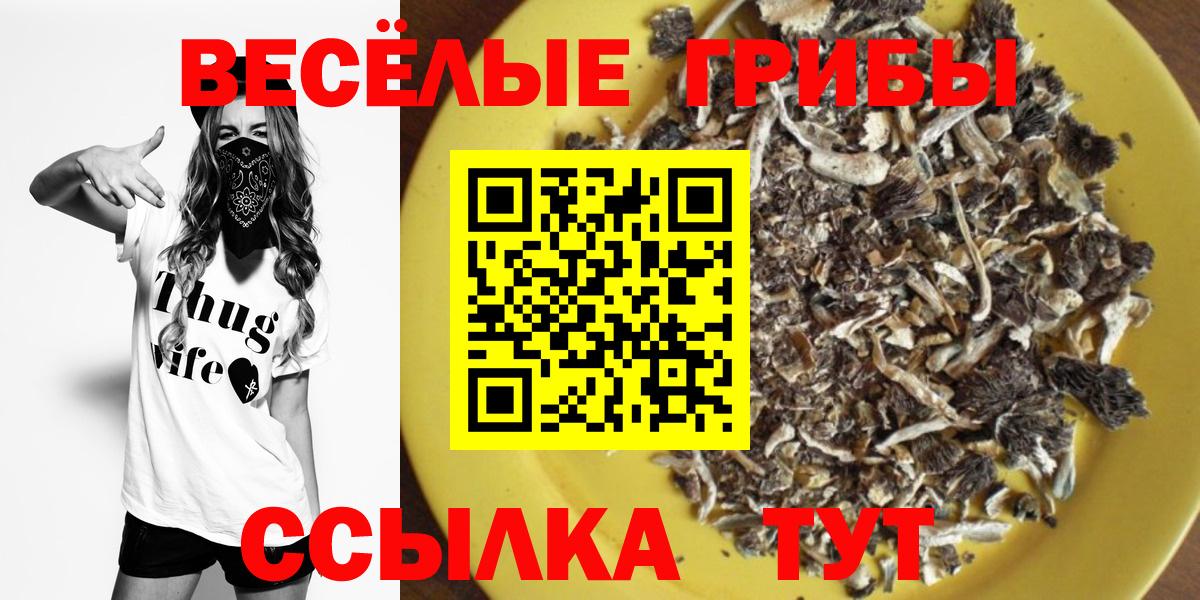 Галлюциногенные грибы прущие грибы  Вход с VPN  Галлюциногенные грибы MAGIC MUSHROOMS  Ступино 